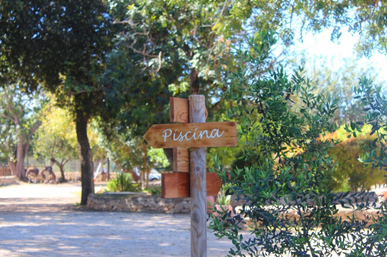 Tenuta Ferraro Alloggio per agriturismo *