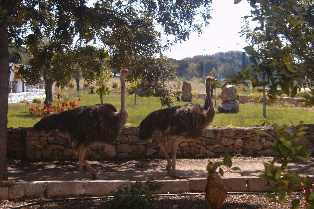 Tenuta Ferraro Alloggio per agriturismo *