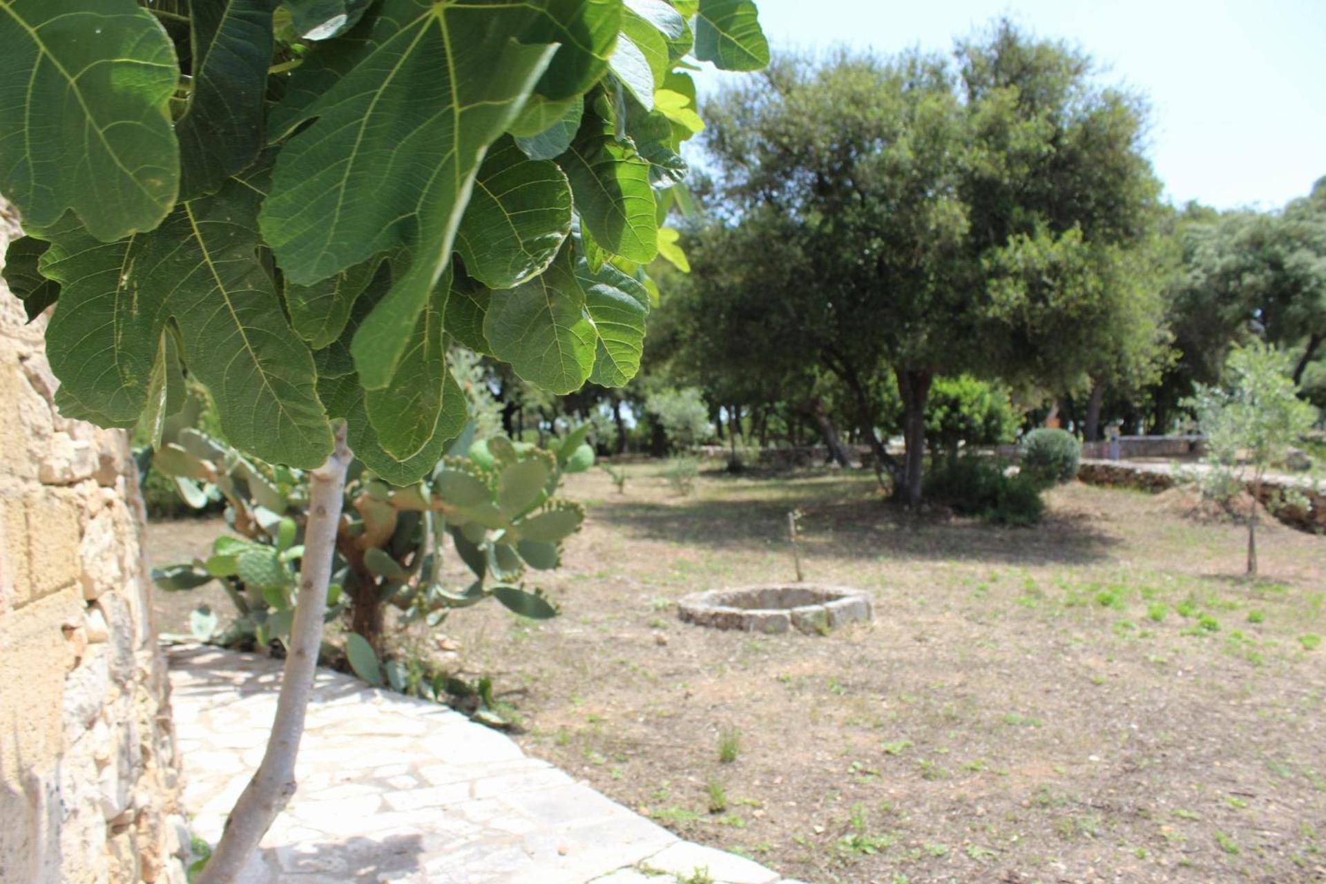 Tenuta Ferraro Alloggio per agriturismo
